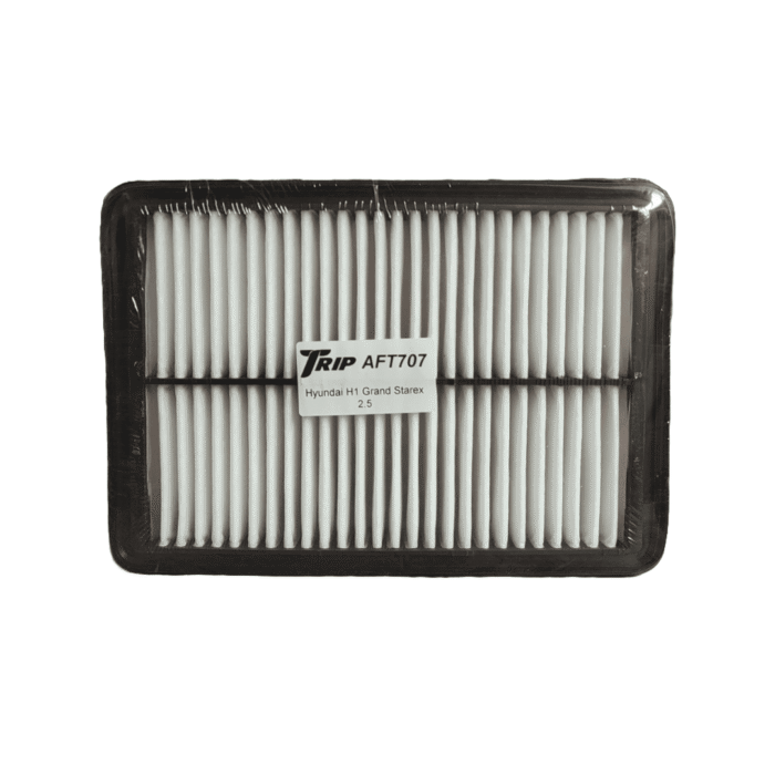 Filtro de Aire Hyundai Starex h1 2.5