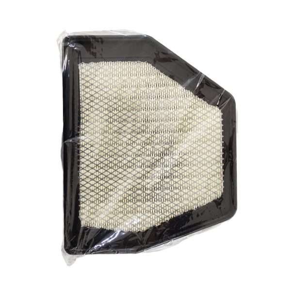 Filtro de Aire Chevrolet Captiva 2.4, captiva 3.0 2010 Typer