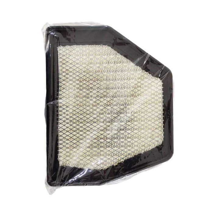 Filtro de Aire Chevrolet Captiva 2.4, captiva 3.0 2010 Typer